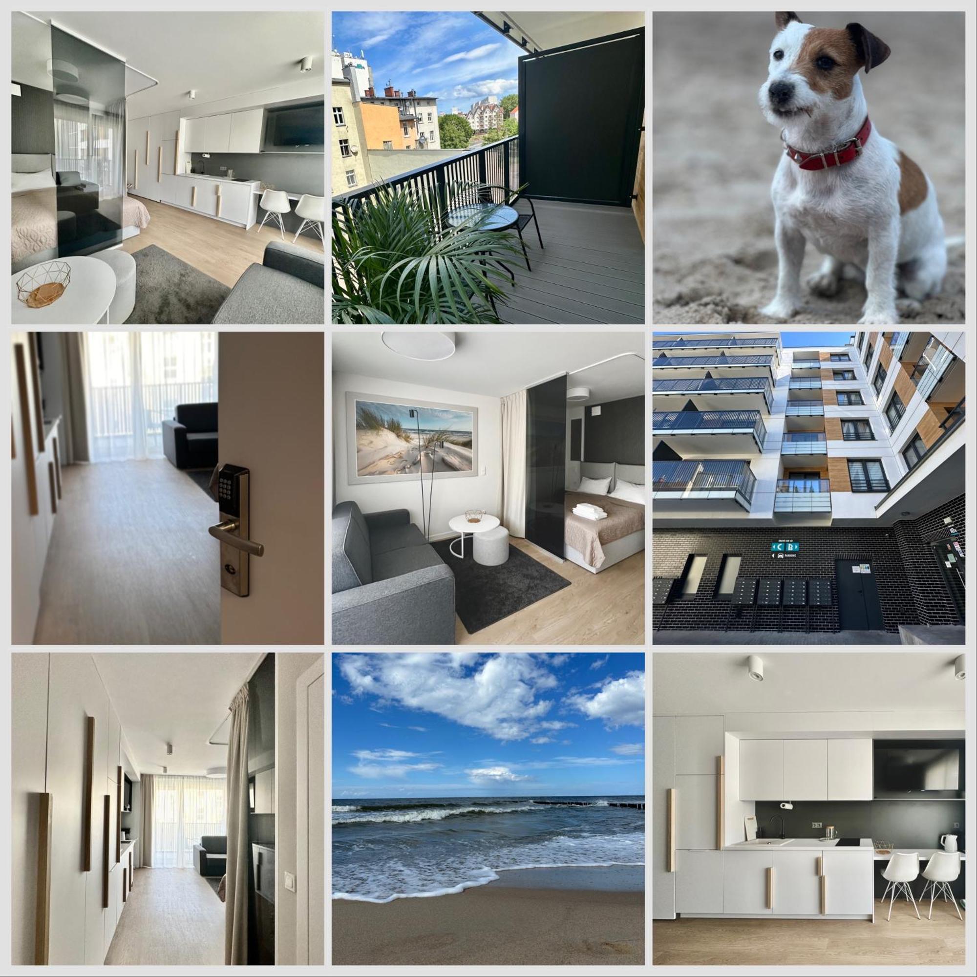 Apartament Typu Studio - Nad Parseta - 15 Min Od Morza Kolberg Exterior foto
